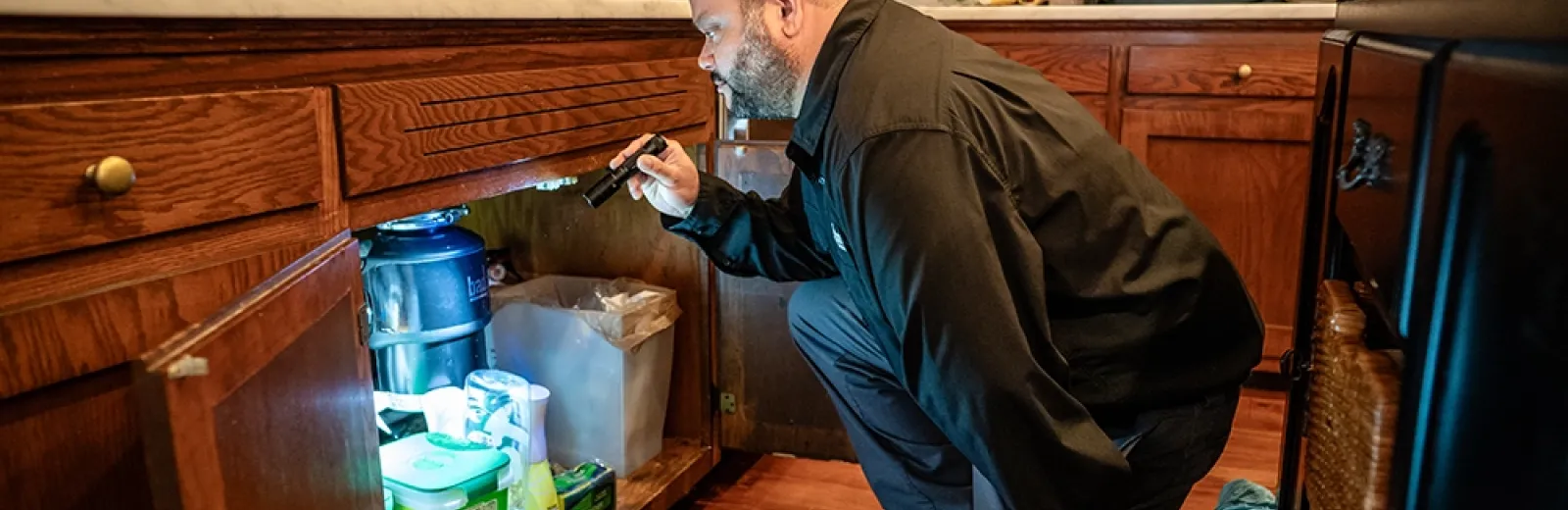 cockroach exterminator